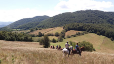 Serbia-Central-Sumadija Explorer